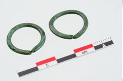 Foto von Bronzering (NHMW-PRAE-024016)